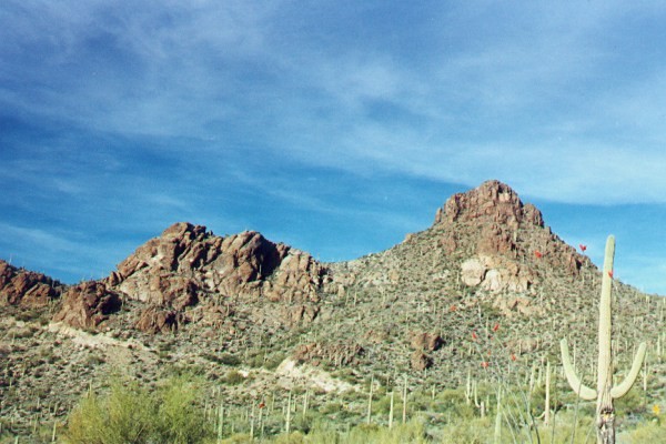 Tucson Mountains