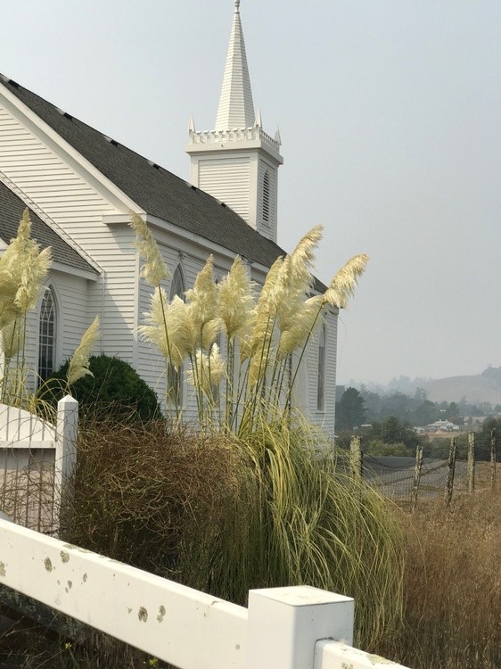 Bodega Church