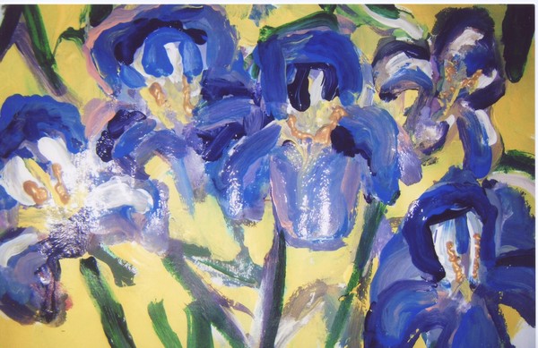 IRIS QUINTET