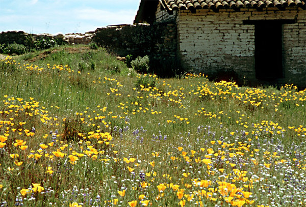 The Grist Mill Adobe at Mission San Antonio