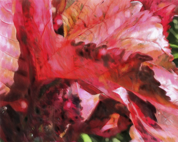 Botanical Abstract Red