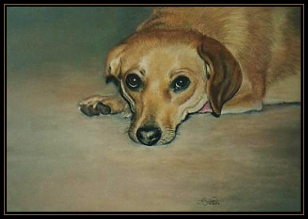 Kathy's Dog