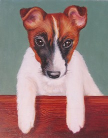 Puppy Portrait