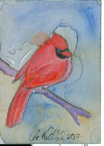 Winter cardinal
