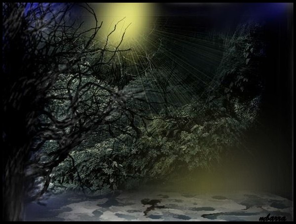The Stillness