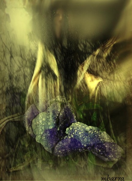 FLORA