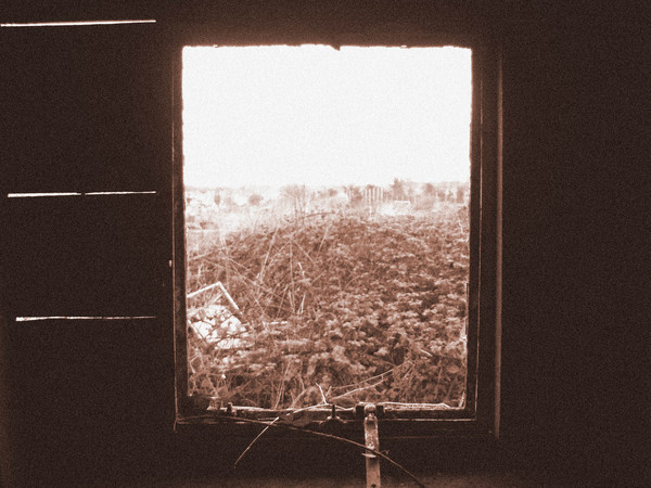 Window