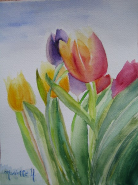Tulips
