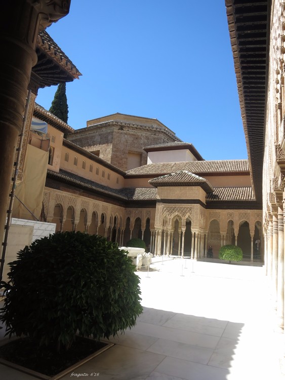 a summer in Andalucia (XI)