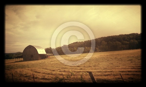 Ozark Beauty
