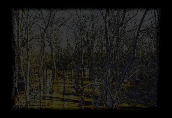 Series 