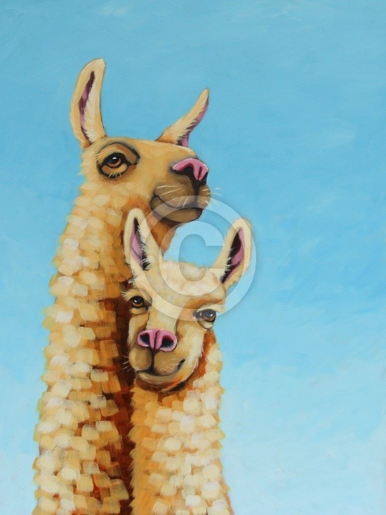 Llama and Mama 