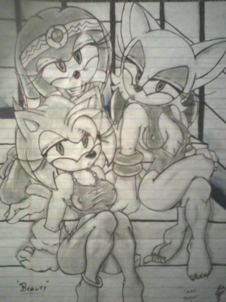 The babes of sonic team