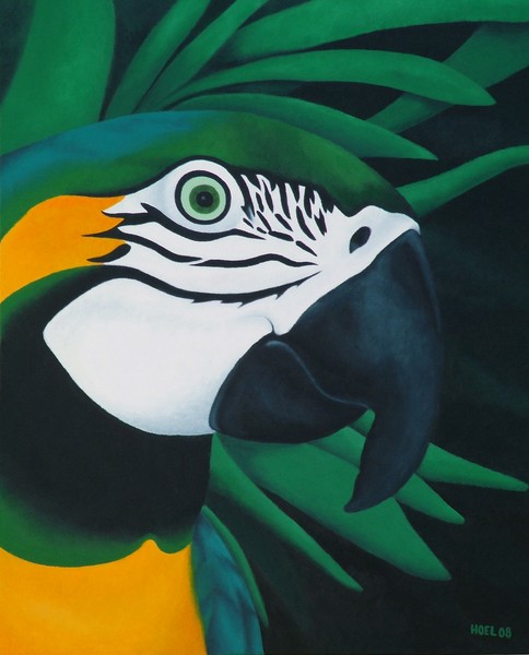 Macaw