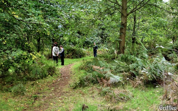 A WALK BEFORE SUNDAY LUNCH