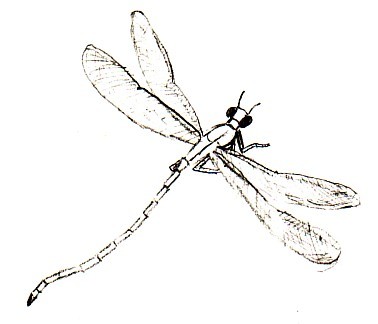 Dragonfly