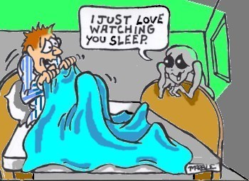 Sleep study