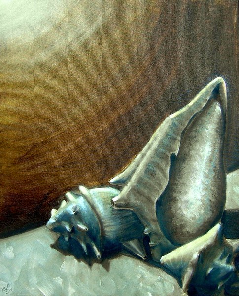 Shells Still Life