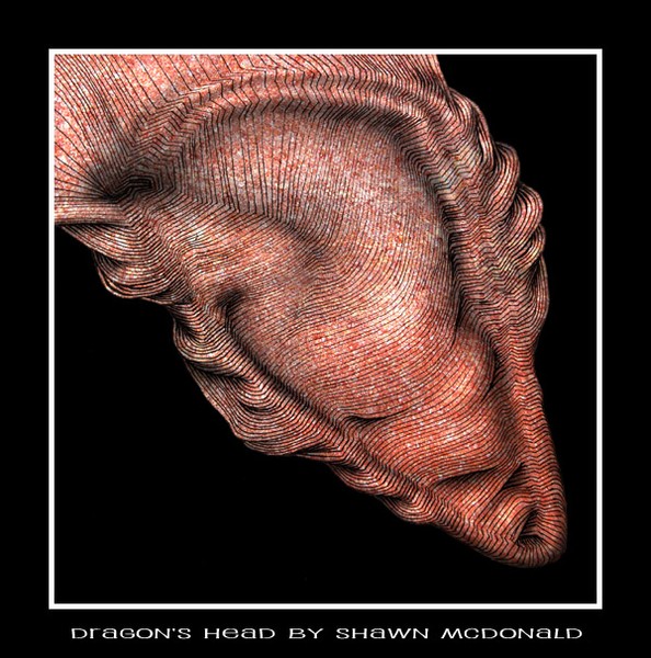 Dragons Head by Shawn McDonald