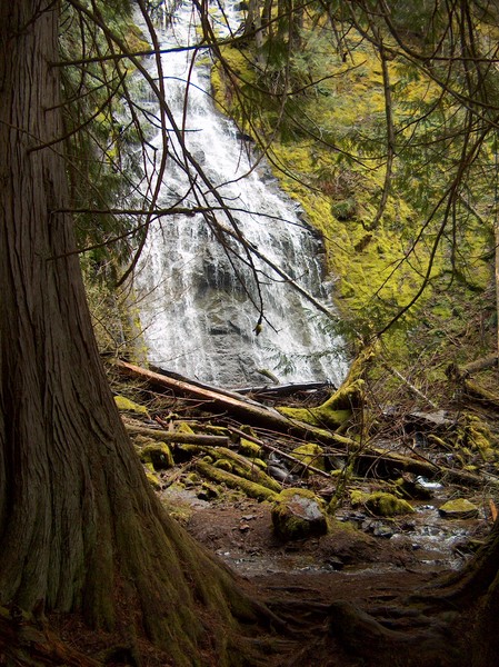 The Dalles Falls in the Spring
