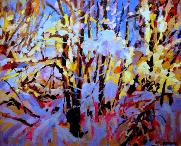 SNOW AND AFTERNOON SUN