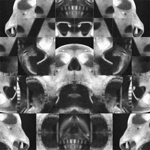 Skulls