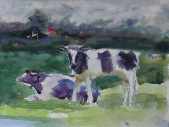 Two Cows