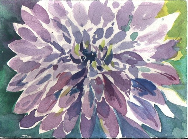 Dahlia