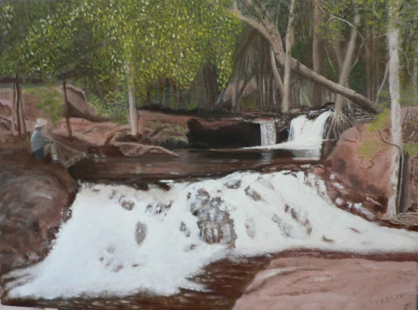 In the Northern Territory