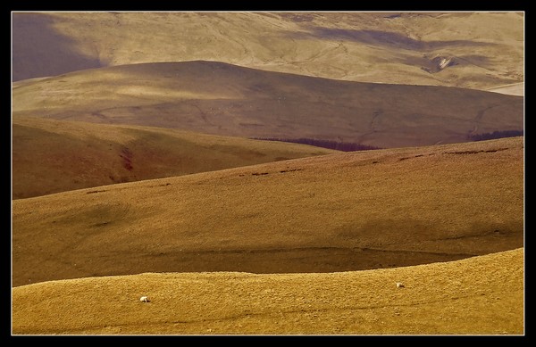 The Land Beyond