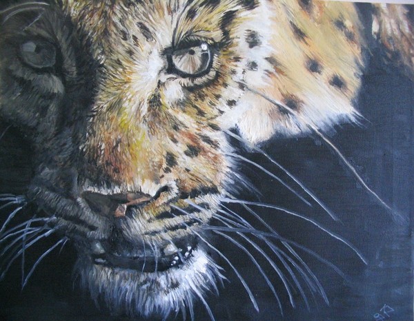 Leopard in the Dark
