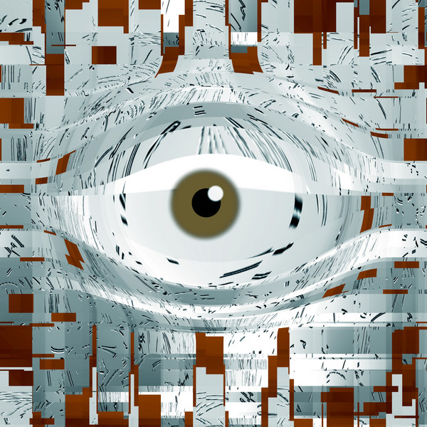 The observer