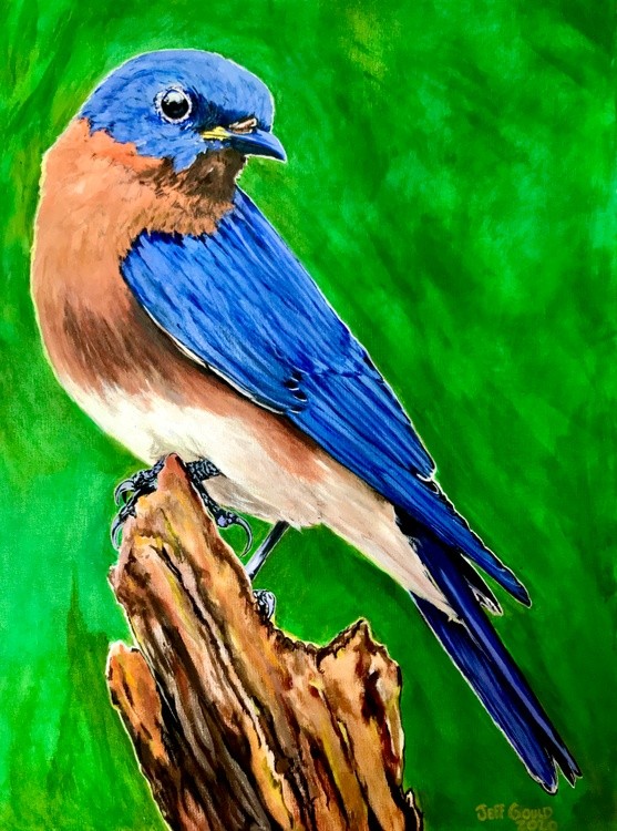 Bluebird