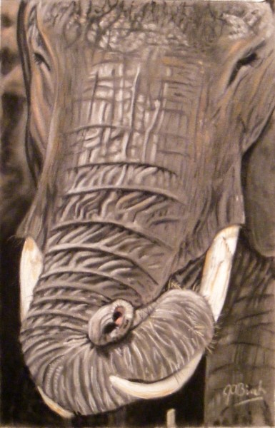 Elephant by moonlight