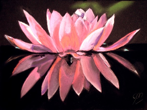 Beauty Reflected