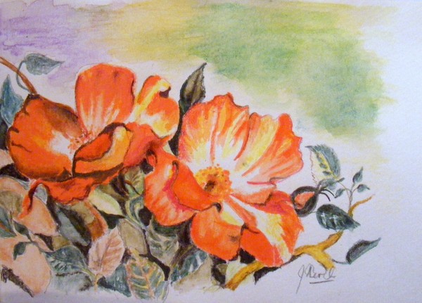 Roses