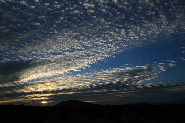 Morning Skys