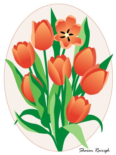 tulips