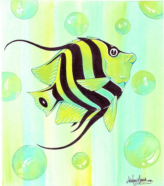 Baby Cooper Fish