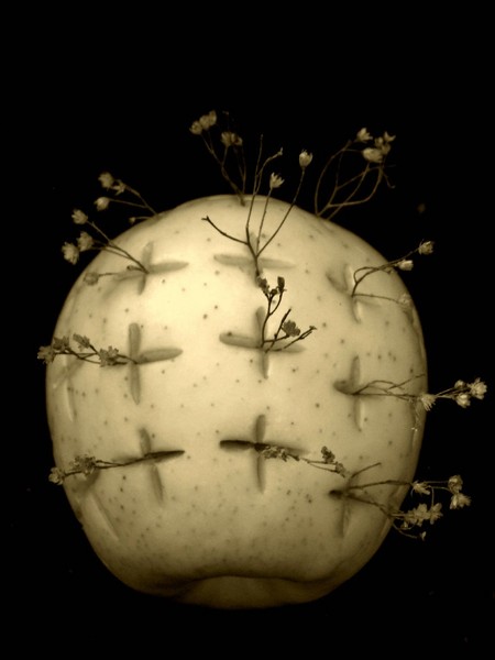 Apple Tree