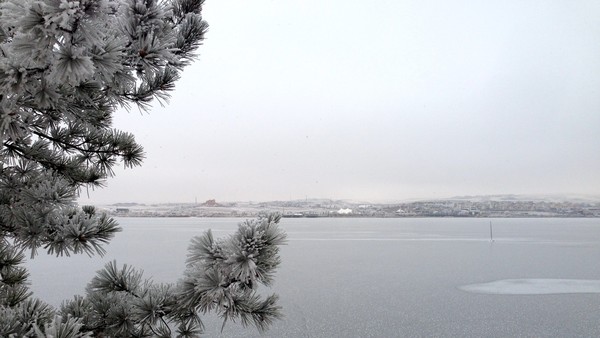 Mogan Lake 3