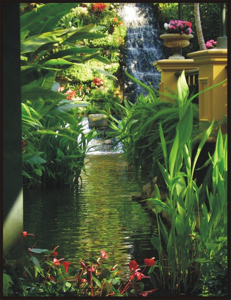 Entrance To The Falls