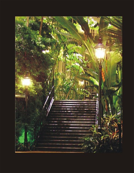 Stairway To Butterfly Delight
