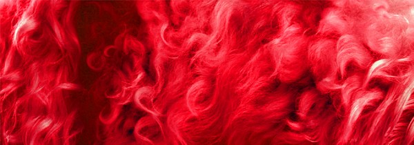 Passions Fury
