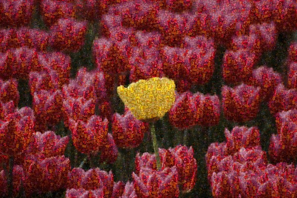 Another (example) of my photo mosaic work