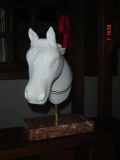 CAVALO