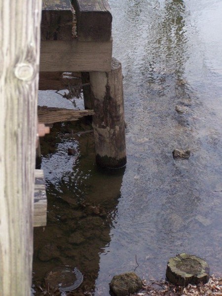Water's Edge