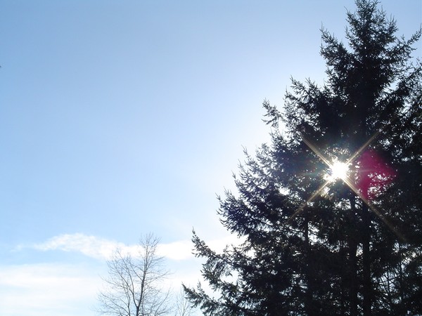 sun thing