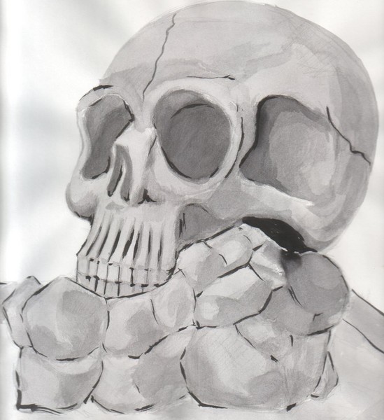 Skull