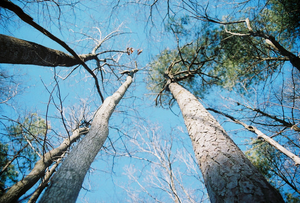 lookin' up..